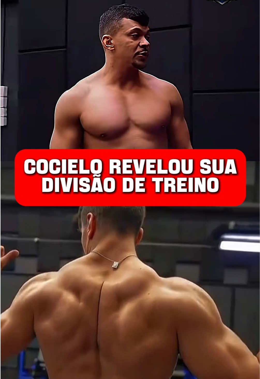 Geral - Video 1253
