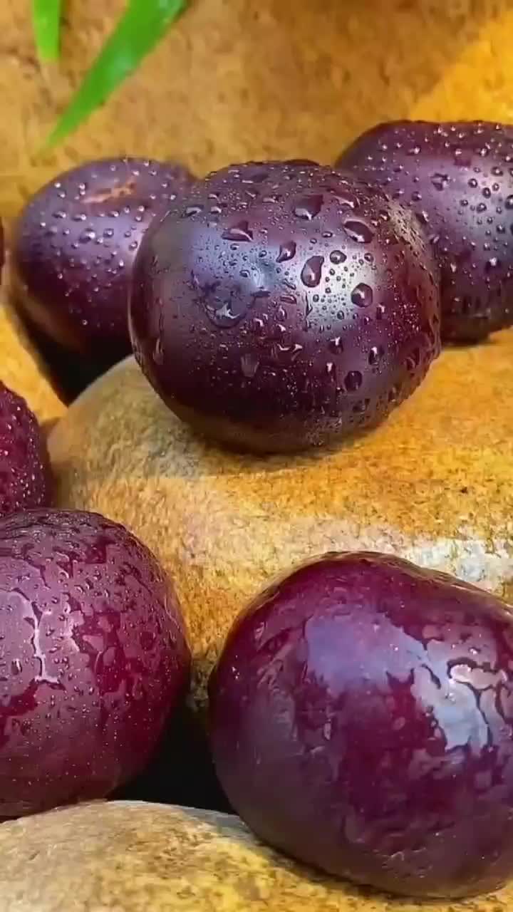fruitshouse.28 - Video 85