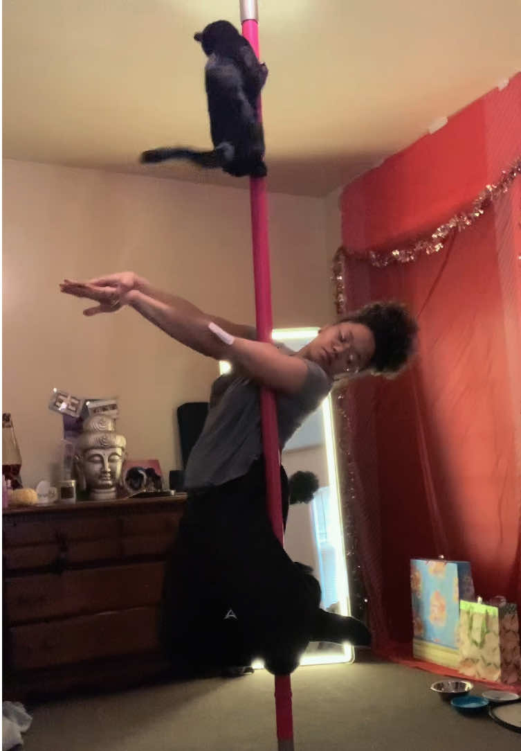 alycatt1111 - Video 16