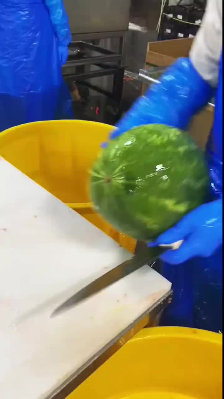 fruitshouse.28 - Video 67