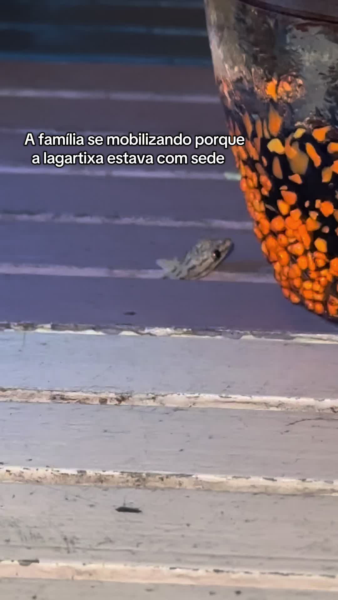 nicolemfreire - Video 28