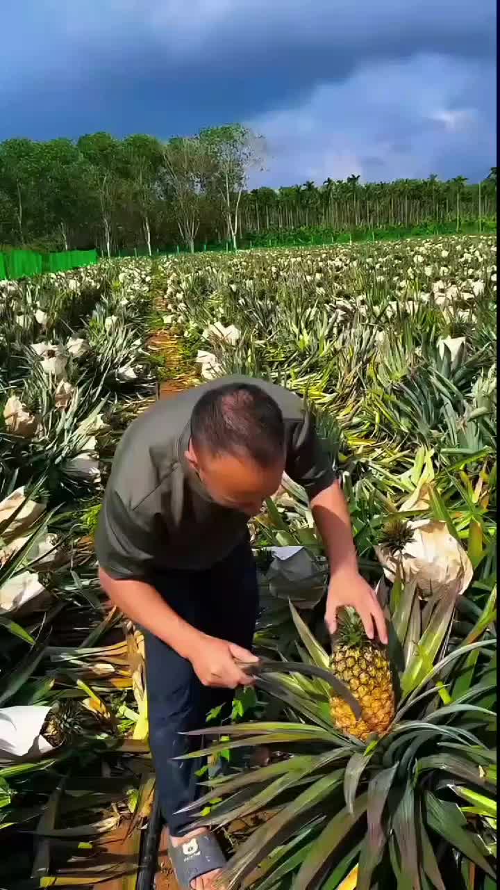 fruitshouse.28 - Video 115