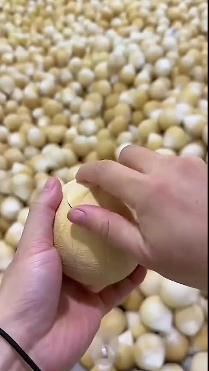 fruitshouse.28 - Video 16