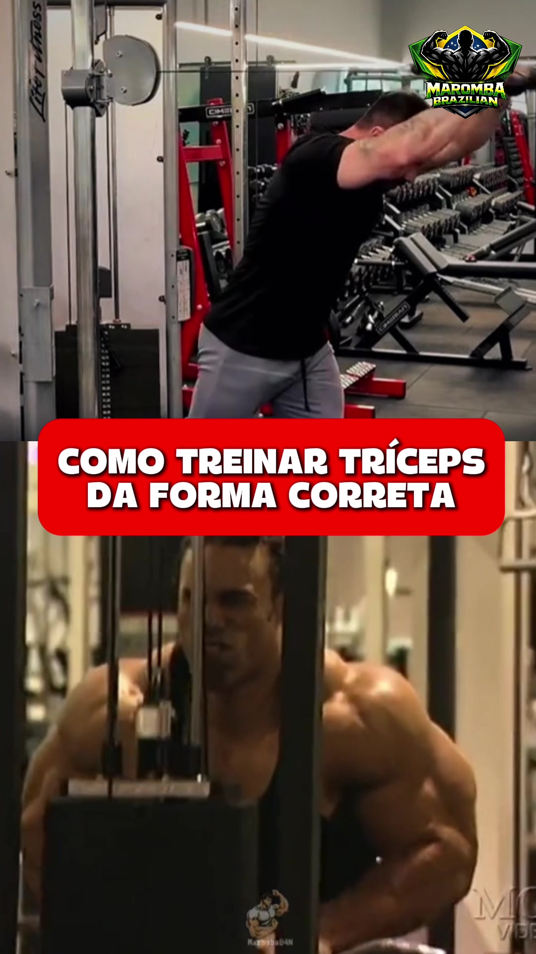 Geral - Video 853