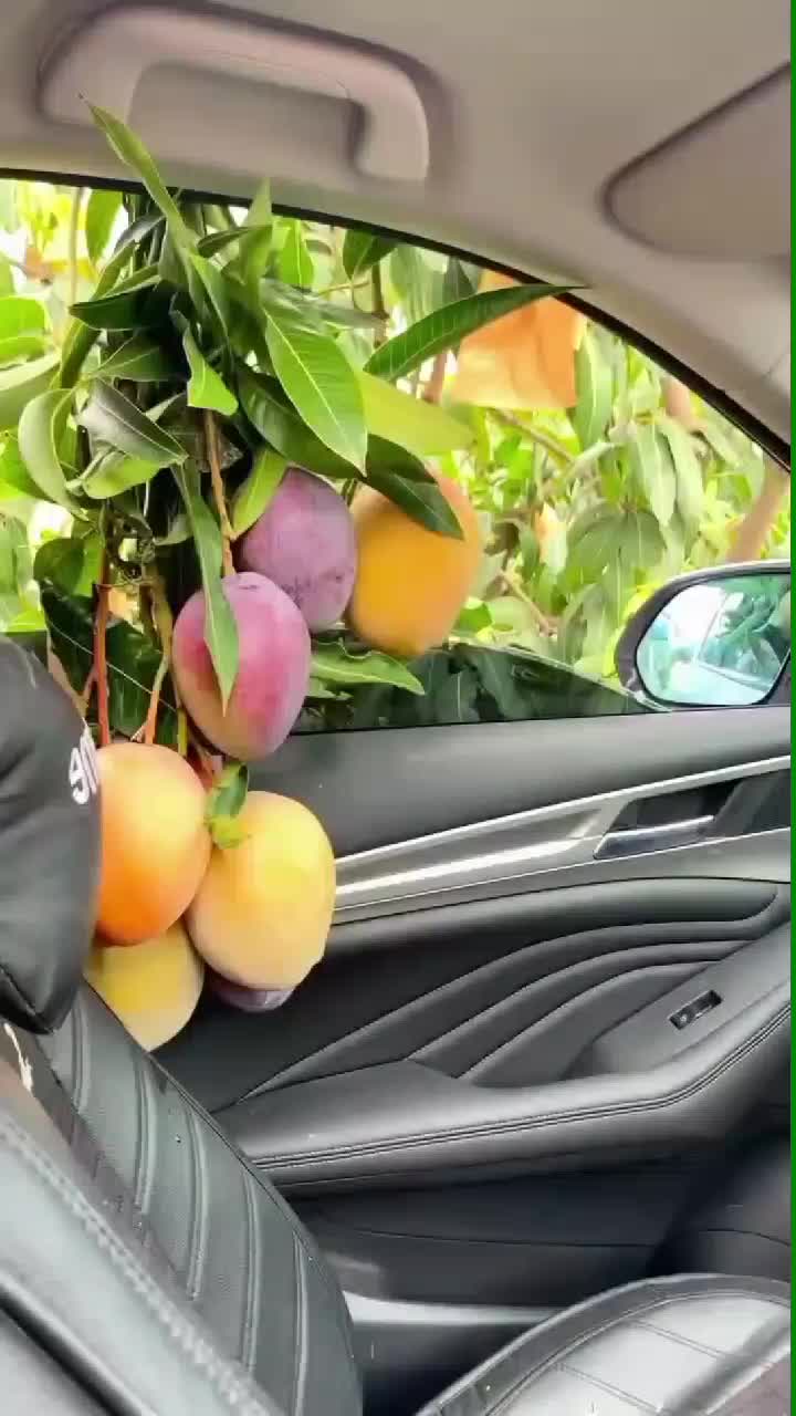 fruitshouse.28 - Video 116