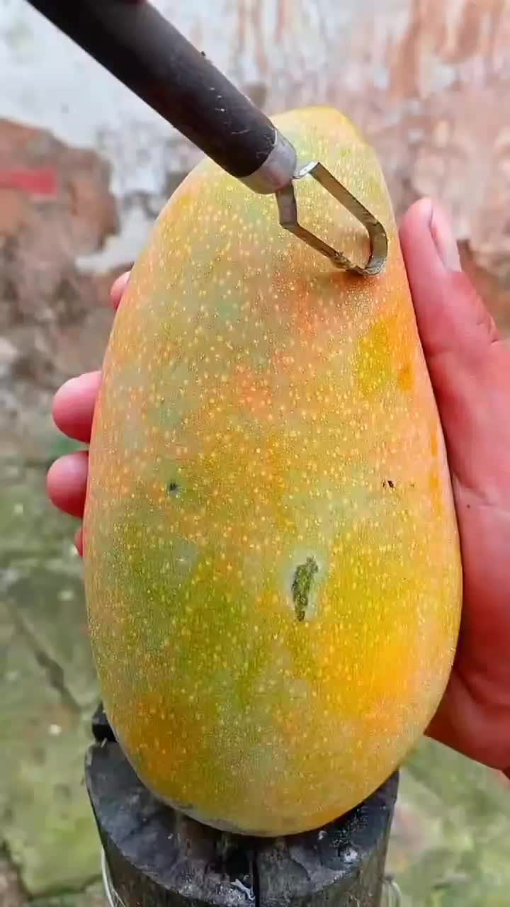 fruitshouse.28 - Video 99