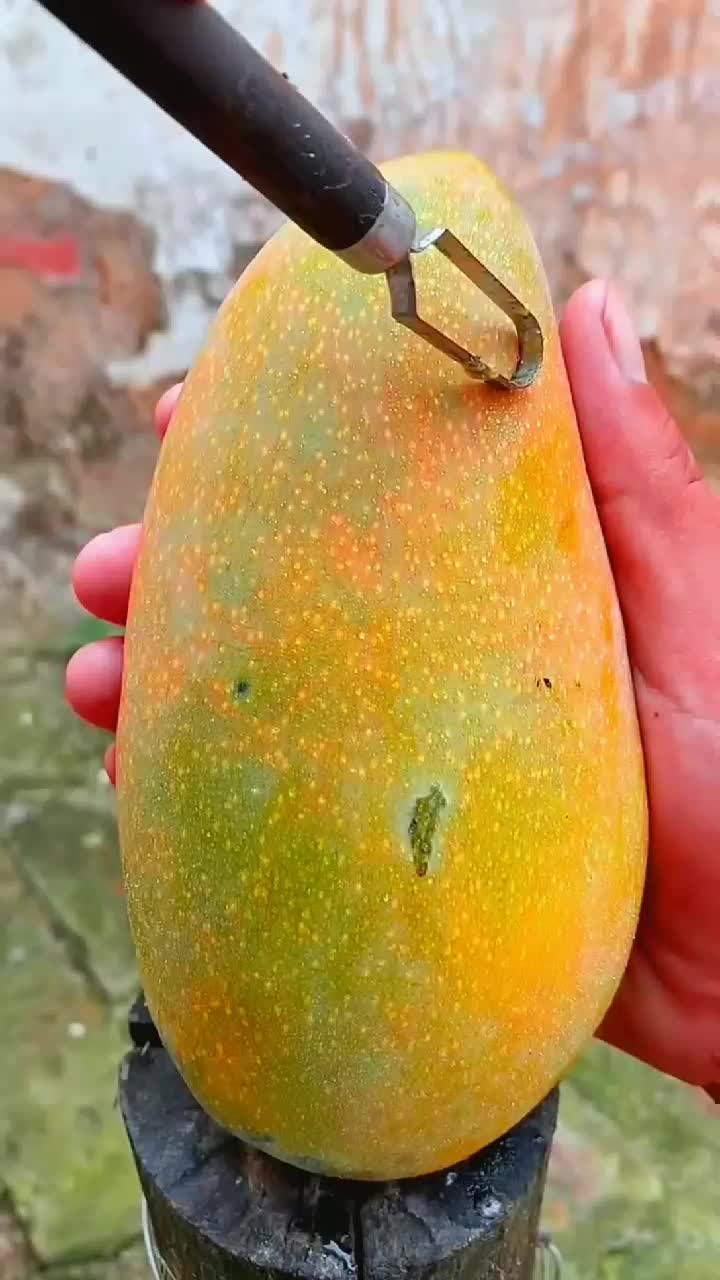 fruitshouse.28 - Video 62