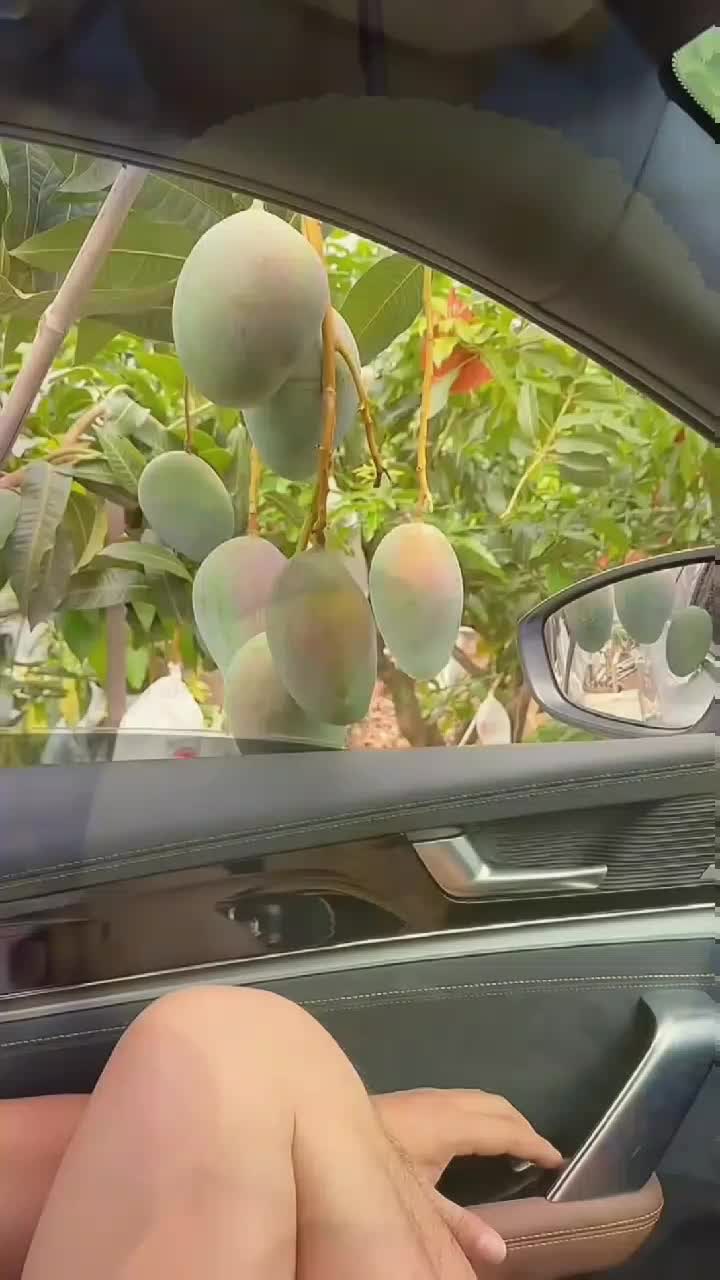 fruitshouse.28 - Video 23