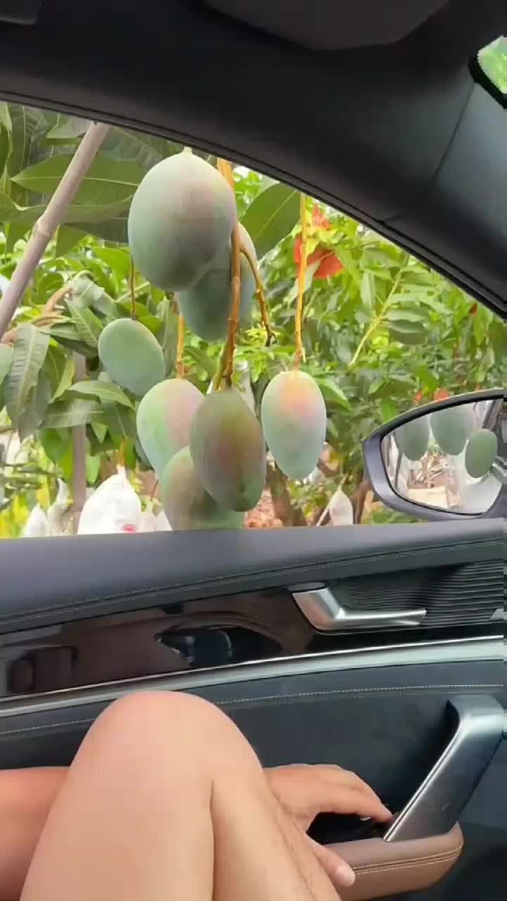 fruitshouse.28 - Video 19
